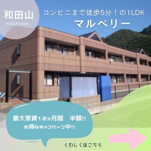 最大家賃半額　12ヵ月間！キャンペーン！！