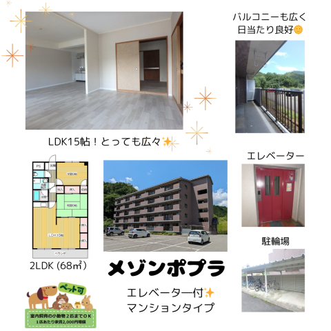 5階建てマンションタイプ 2LDK